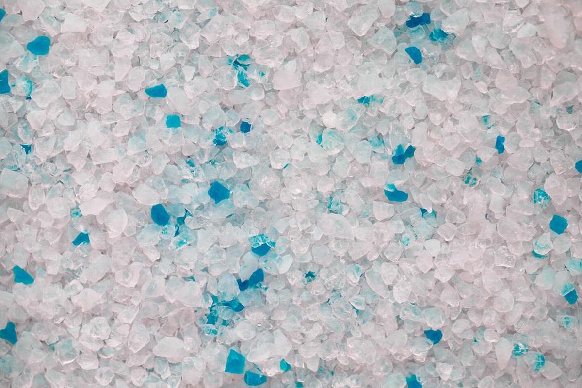 Top 5 Game-Changing Technologies in Water, Fire, and Mold Damage Restoration