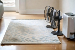 How to Dry Rug After Flood and Prevent Mold - 5 Helpful Tips