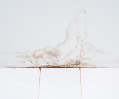 Water Remediation in a Small Bathroom - Costs and What to Expect