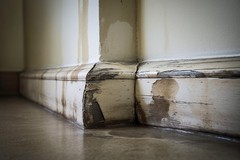 Baseboard Water Damage Signs and Solutions Homeowners Should Know