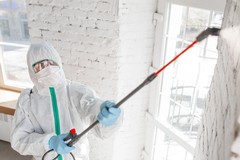 What to Spray to Prevent Mold After Water Damage