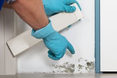Check for Mold After Water Damage the Right Way