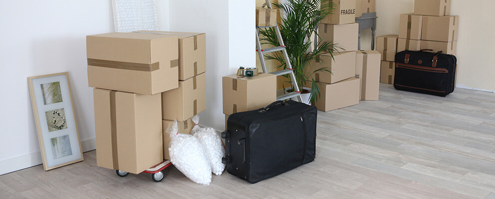 Apt Cleaned and Ready to Be Moved Out Of Moving Cleanup Services in Boston, MA