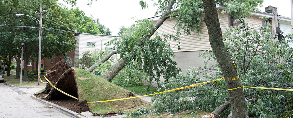 Storm Damage Repair in Boston, MA