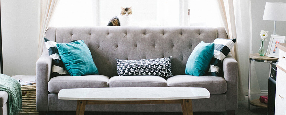 Freshly Cleaned Couch Upholstery Cleaning in Boston, MA