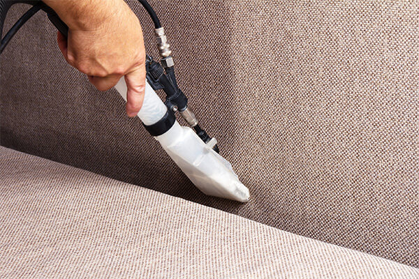 Upholstery Cleaning Upholstery Cleaning in Needham, MA