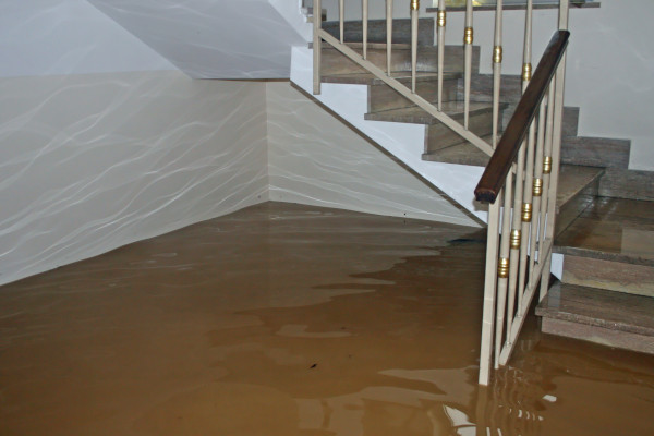 Flooded Basement in Boston