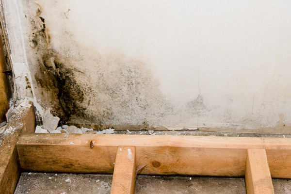 Mold Remediation in Boston, MA