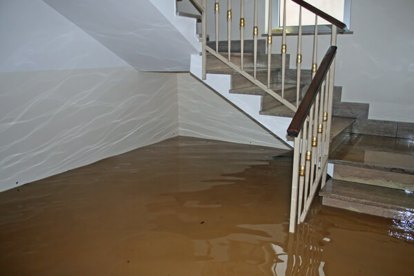 Water Damage Restoration Fairfield County
