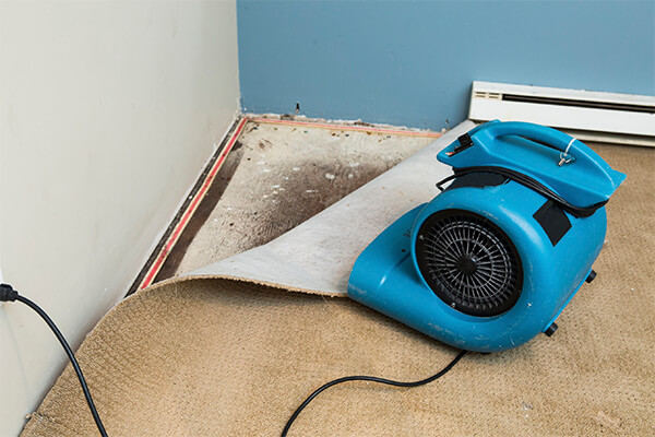 Water Damage Cleanup in Walpole, MA Water Damage Cleanup in Walpole, MA