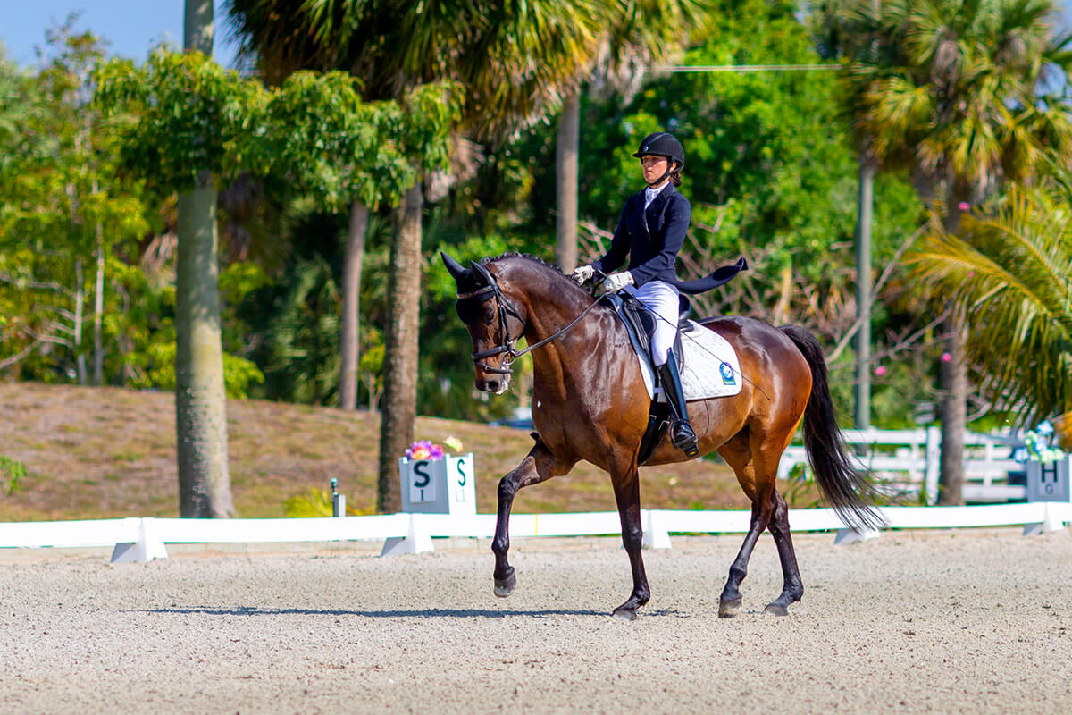 Scarlett Hansen - 43rd World Ranked of the International Equestrian Federation