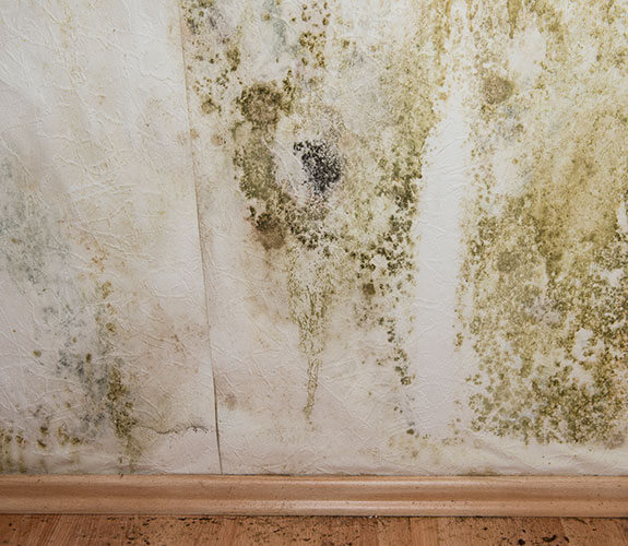 Vail, CO Water and Fire Damage Restoration - Mold