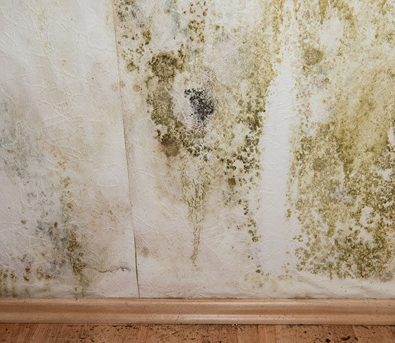 Dillon, CO Water and Fire Damage Restoration - Mold