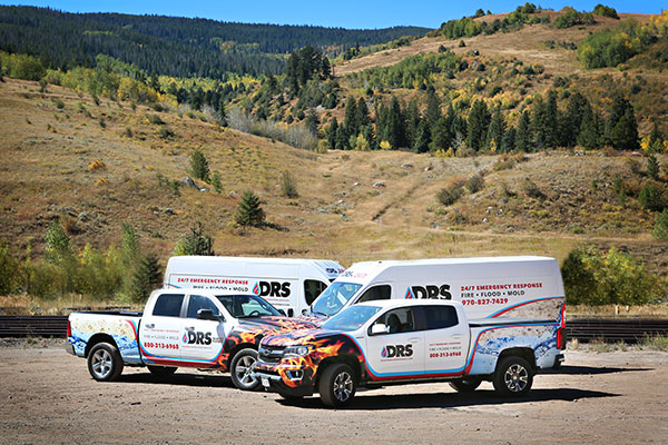 DRS Vehicles in front of landscape