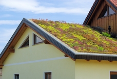 Tapping into the Green Building Trend