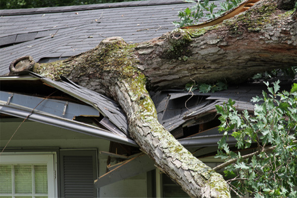 Storm Damage Repair in Millington, TN