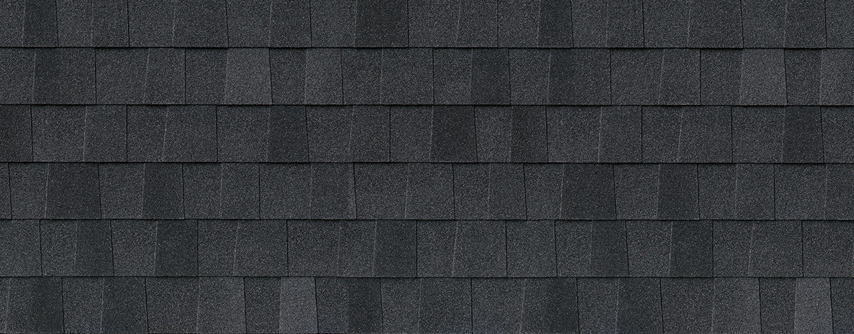 Shake Shingles