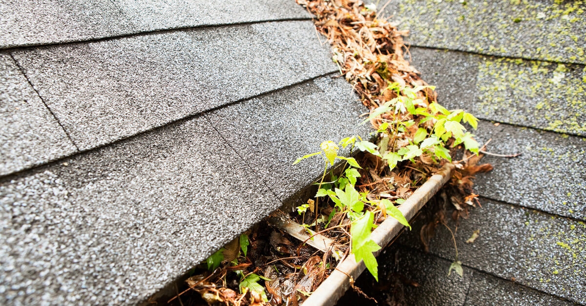 DIY Roof Maintenance Tips & Tricks