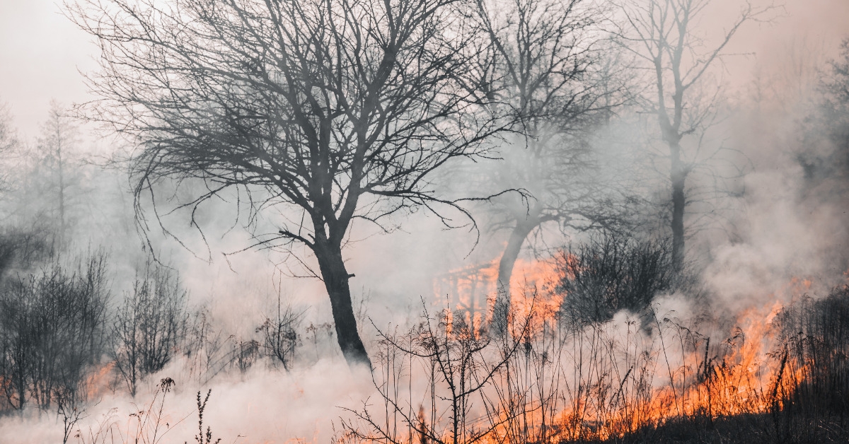 'Wildfire Season Preparedness: Protecting Yourself and Your Property' Featured Thumbnail