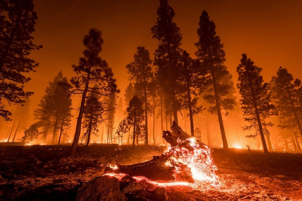 'When Wildfire Strikes: Preparing Your Property for California’s Fire Season' Featured Thumbnail