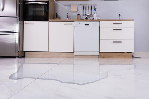 Appliance Leak Cleanup in Montecito, CA