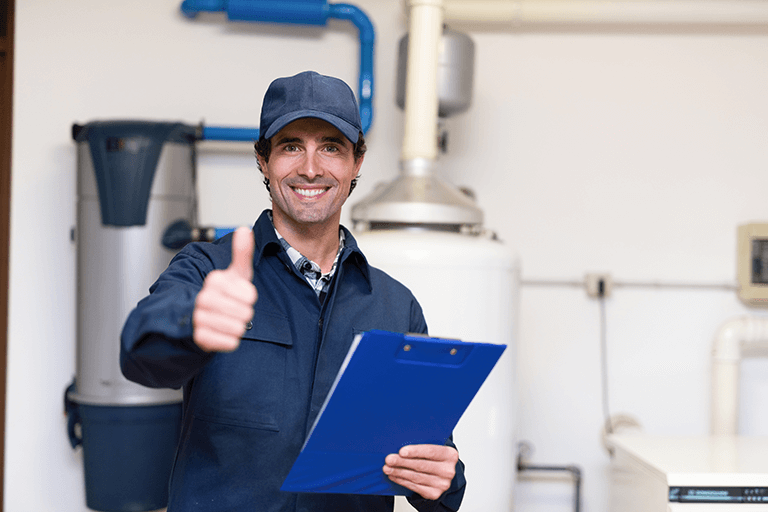 Mold Removal Contractors