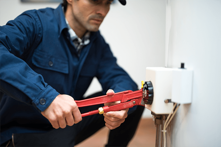 Mold Remediation Contractors
