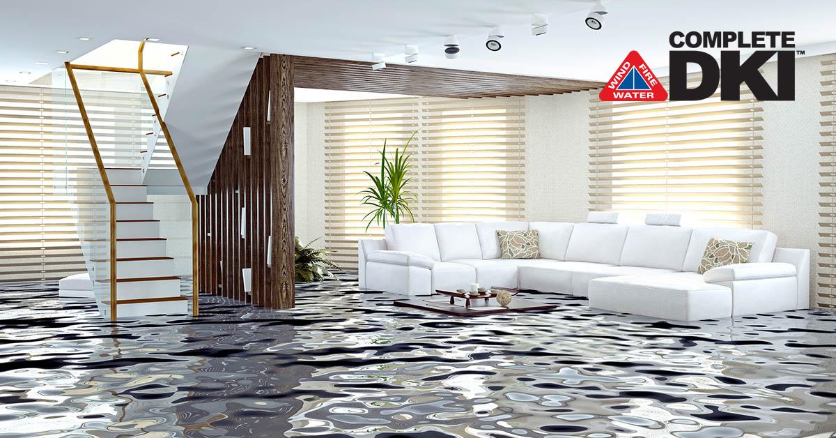 Professional Water Damage Cleanup in Levy Park, FL Professional Water Damage Cleanup in Levy Park, FL