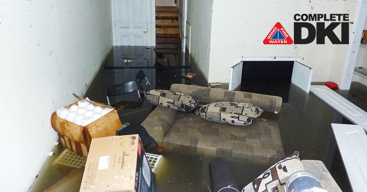 Professional Water Damage Cleanup in Iamonia, FL Professional Water Damage Cleanup in Iamonia, FL
