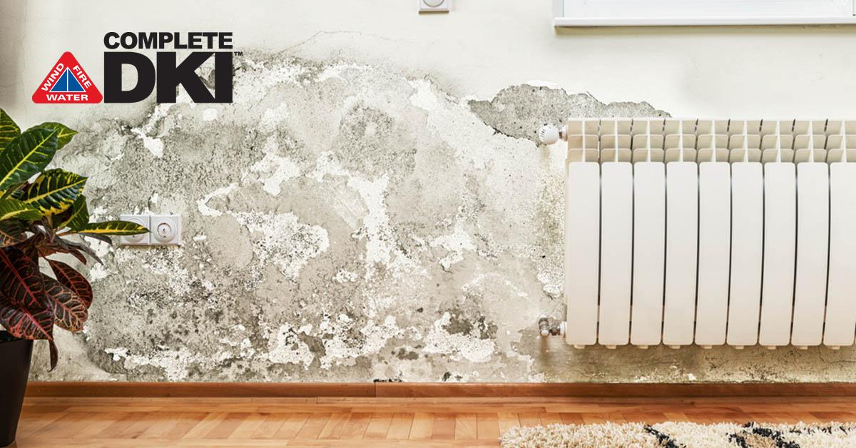 Certified Mold Abatement in Perkins, FL Certified Mold Abatement in Perkins, FL