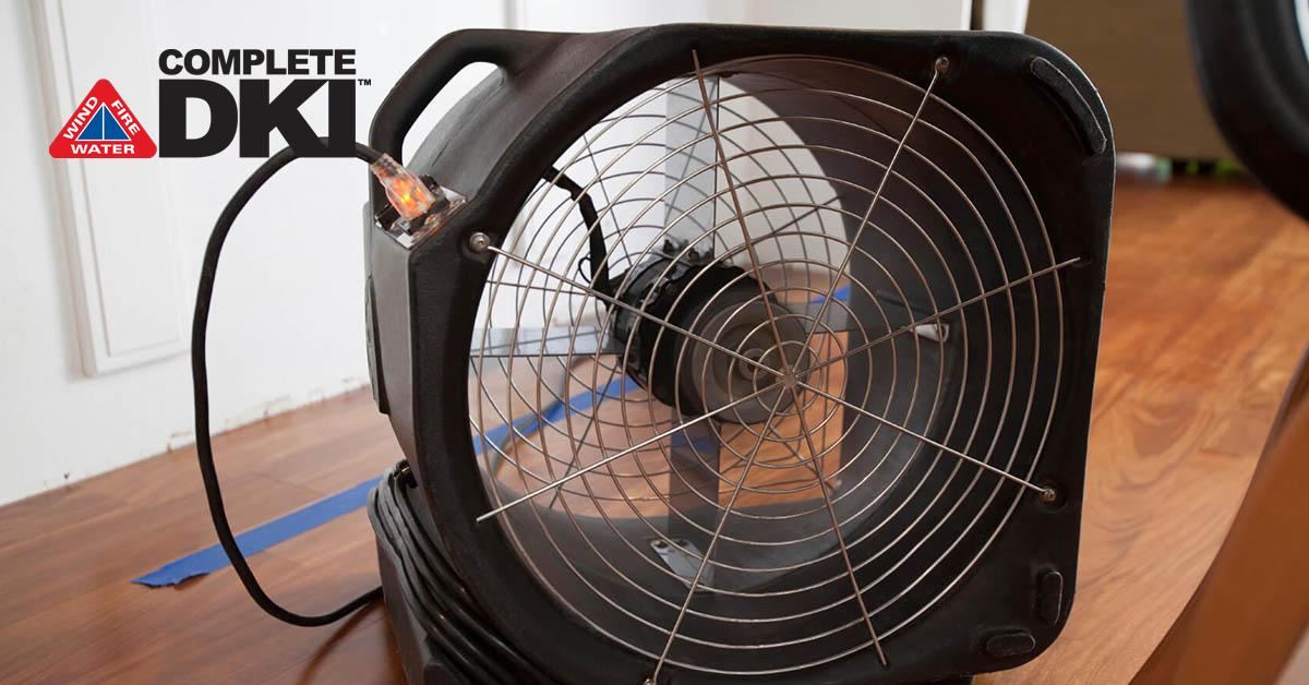 Professional Water Damage Remediation in Centerville, FL Professional Water Damage Remediation in Centerville, FL
