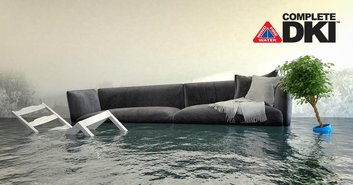 Certified Water Damage Mitigation in Iamonia, FL Certified Water Damage Mitigation in Iamonia, FL