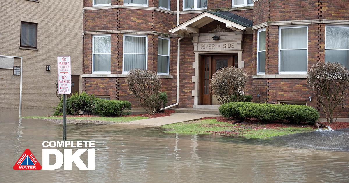 Professional Water Damage Repair in Levy Park, FL Professional Water Damage Repair in Levy Park, FL