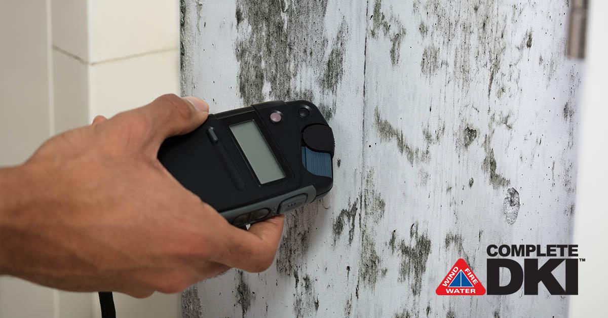 Mold Damage Restoration in Betton Hills, FL Mold Damage Restoration in Betton Hills, FL