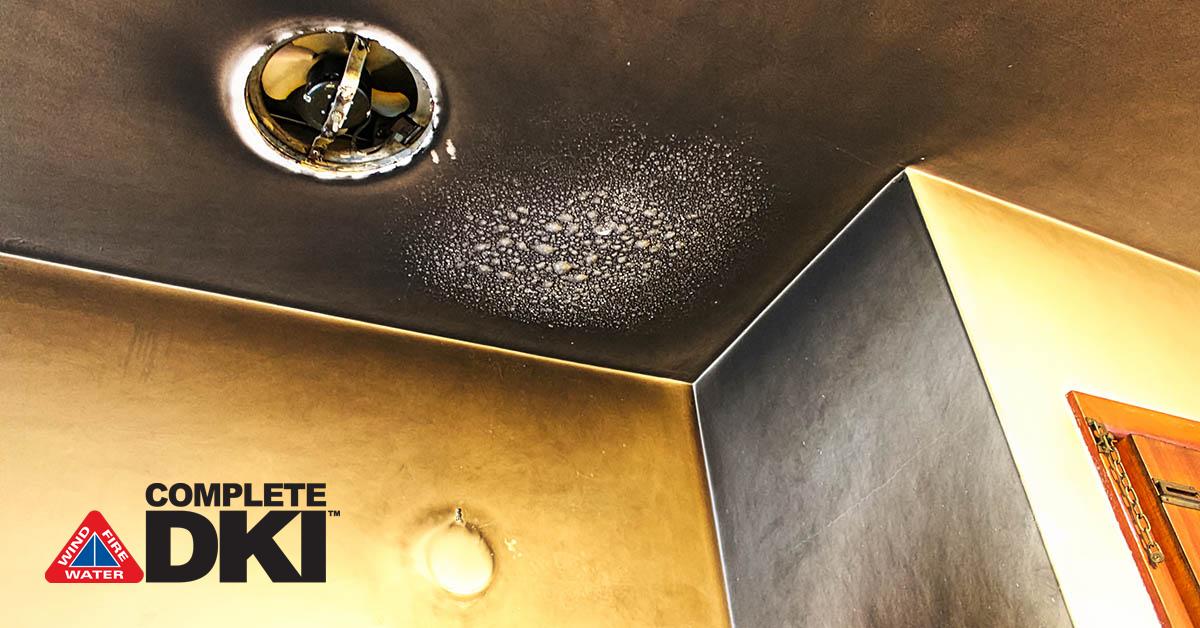 Professional Fire and Smoke Damage Mitigation in Betton Hills, FL Professional Fire and Smoke Damage Mitigation in Betton Hills, FL