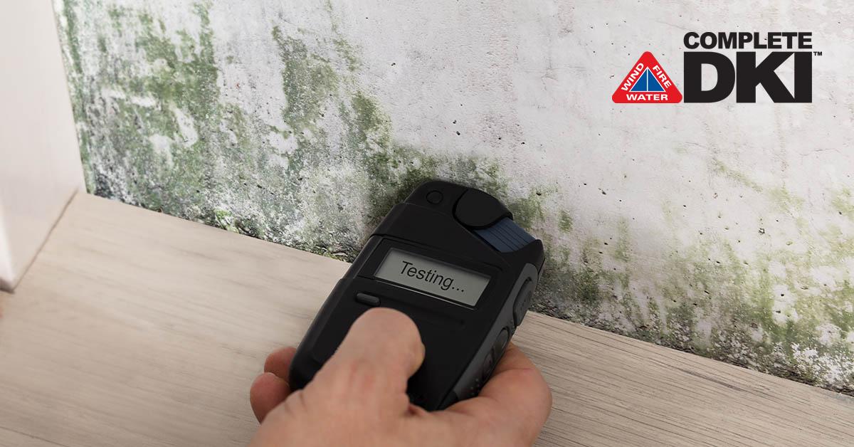Mold Removal in Betton Hills, FL Mold Removal in Betton Hills, FL