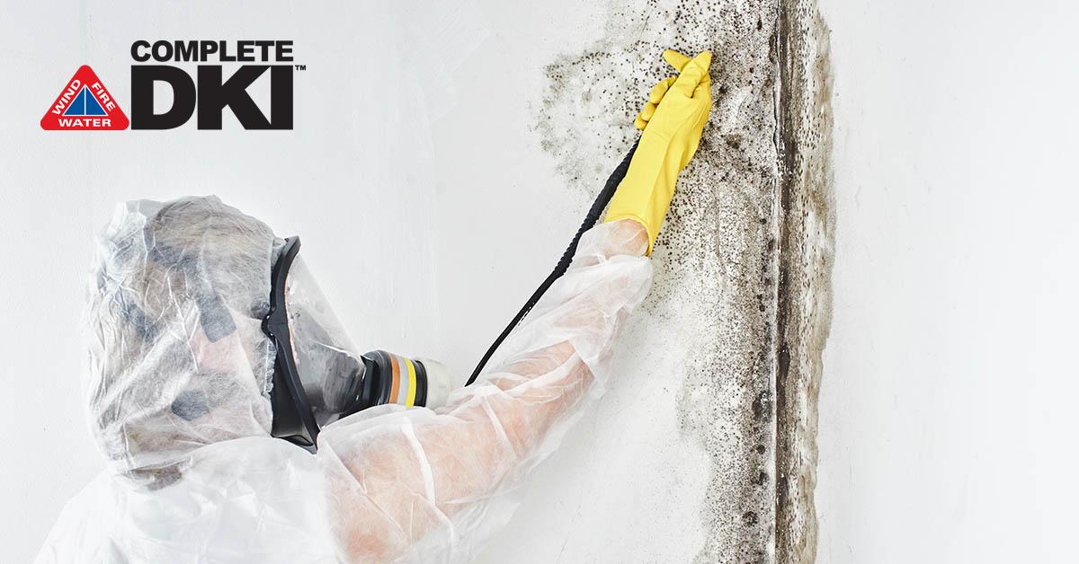 Mold Removal in Levy Park, FL Mold Removal in Levy Park, FL