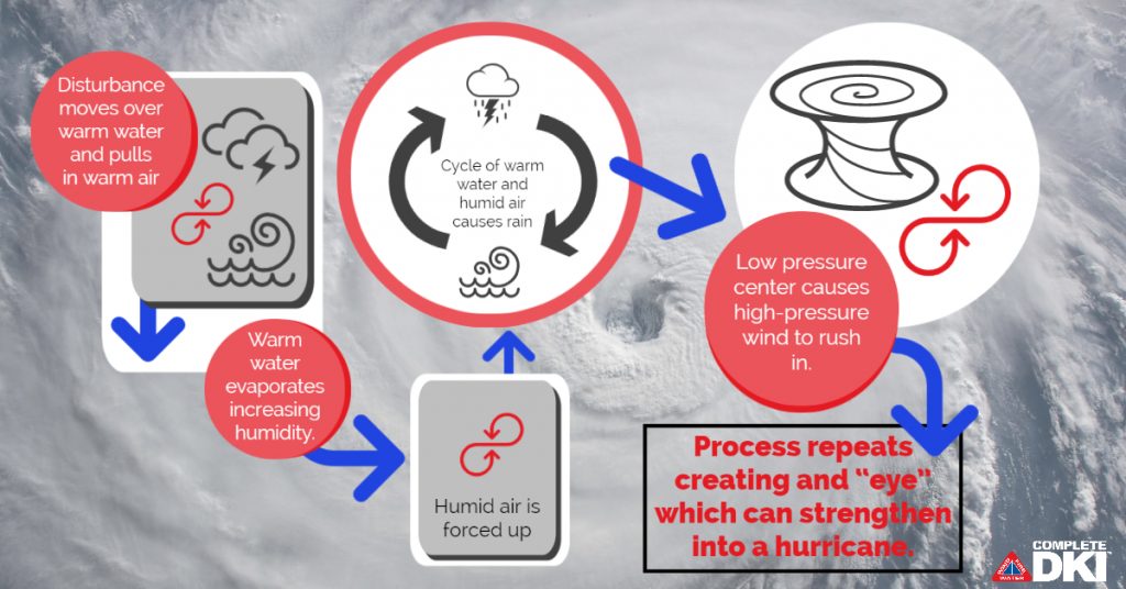Conditions that cause a hurricane to form.