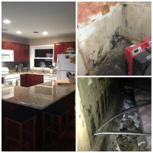 Before and After Mold Restoration Pics