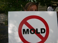 Mold and Your Health: What Every Property Owner Should Know