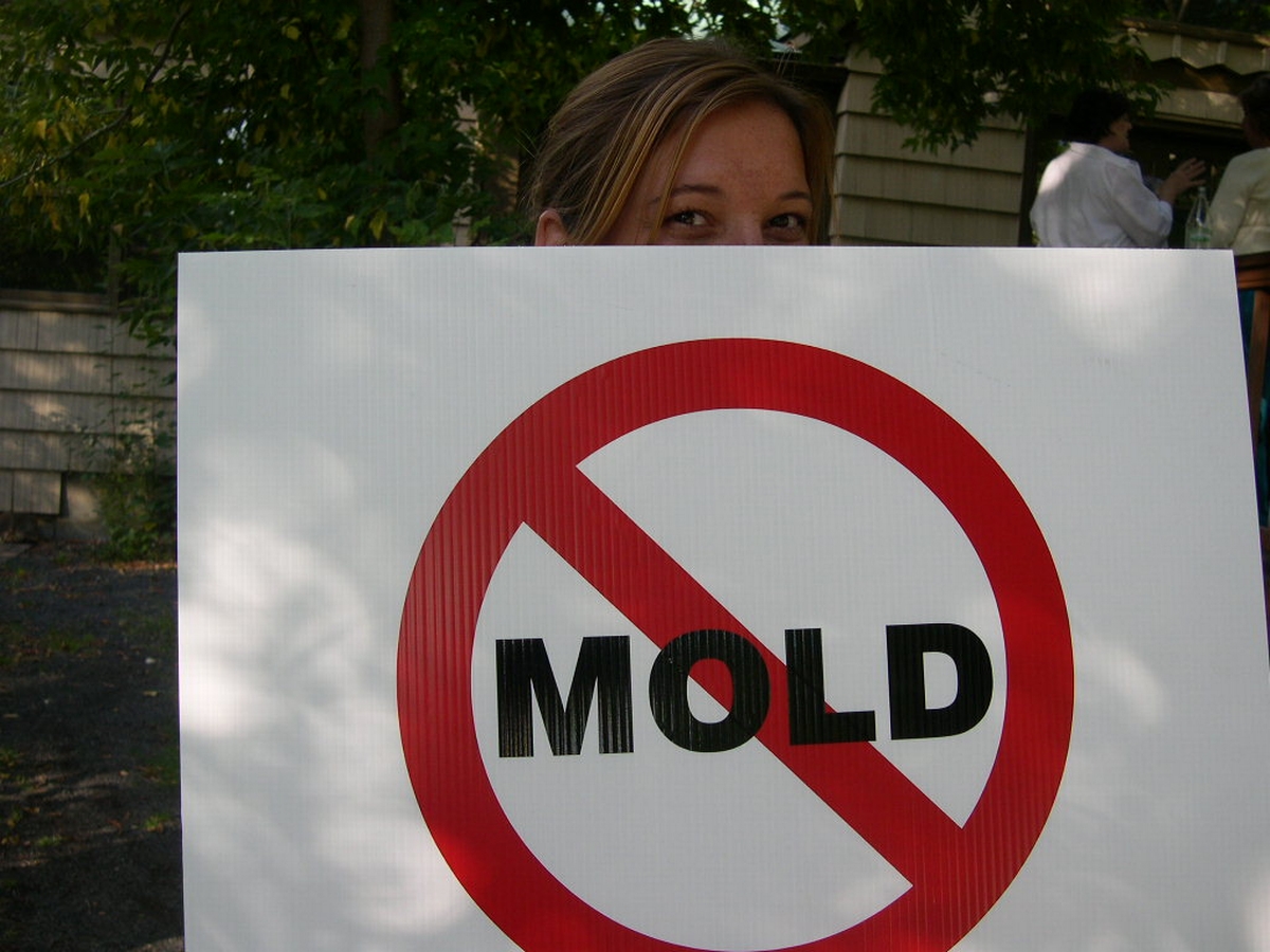 Mold and Your Health: What Every Property Owner Should Know