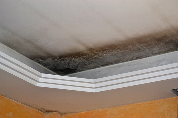 Attic Mold Remediation in Central Oregon