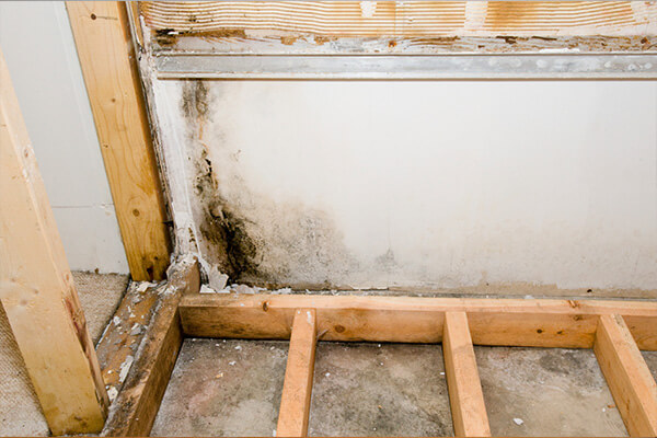 Crawlspace Mold Remediation in Central Oregon