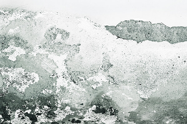 Mold Remediation Services in Bend, OR