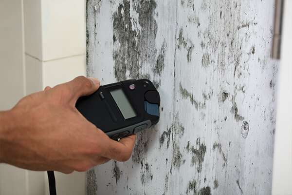 Mold Inspection and Testing in Central Oregon