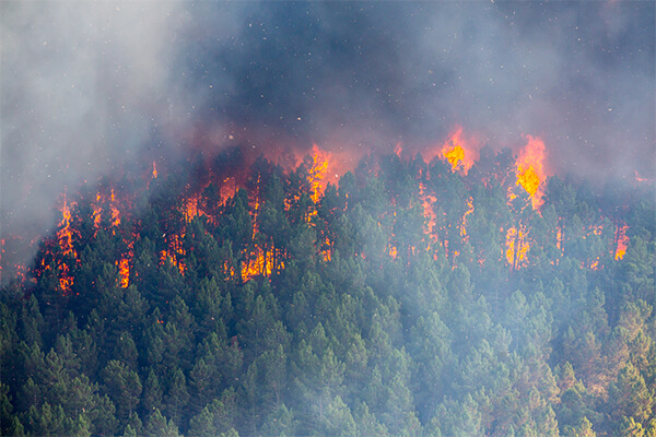 Wildfire Inspection in Central Oregon WWildfireater Inspection in Central Oregon