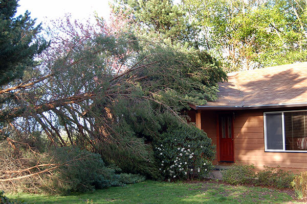 Storm Damage Restoration in Central Oregon