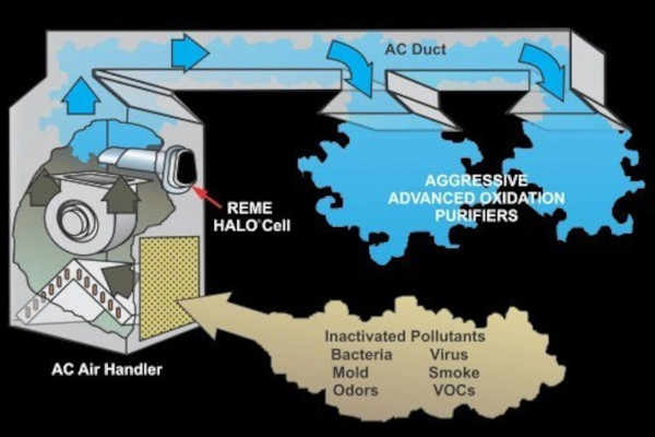 Air Purification Services in Newtown, PA