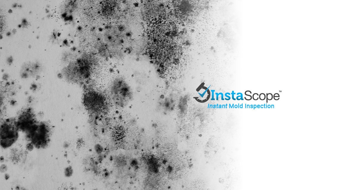 What is InstaScope Mold Inspection?