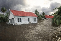 Cost-Effective Restoration: Balancing Quality and Affordability